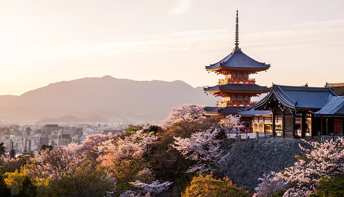 Seasonal Delights in Kyoto: Activities and Attractions for Every Season of the Year